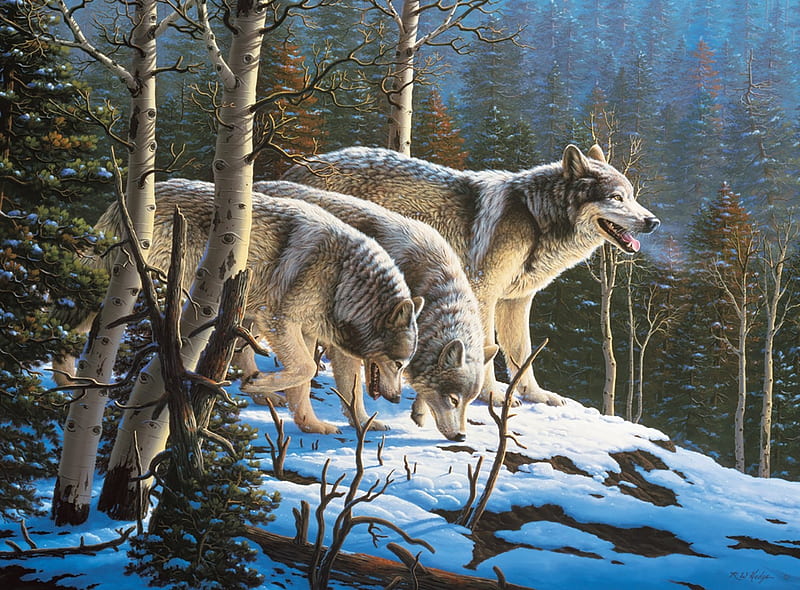 Wolves in Moonlight, trees, artwork, aspens, firs, winter, predators, snow, wolfpack, painting, HD wallpaper