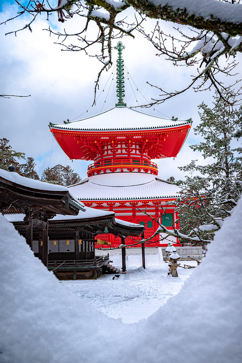 red and white temple surrounded by trees covered with snow, HD phone wallpaper
