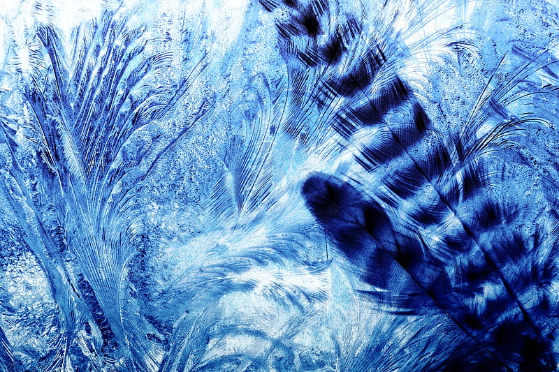 Feathered, Abstract, Arty, Feathers, Blue, HD wallpaper