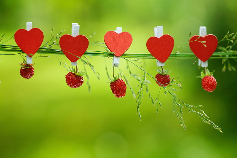 Fruits, Strawberry, Berry, Clothes Pin, Heart, HD wallpaper