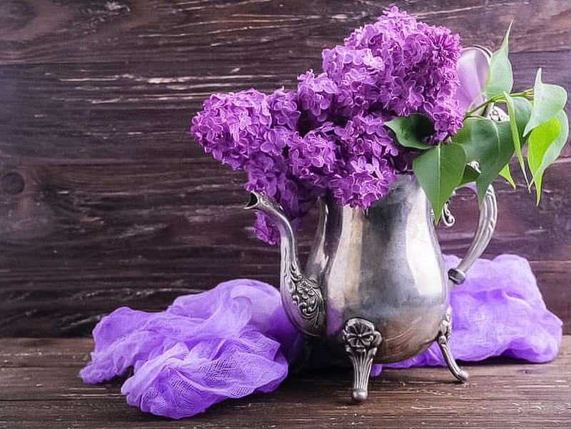 Fragrant scent, flower, lilac, violet, HD wallpaper