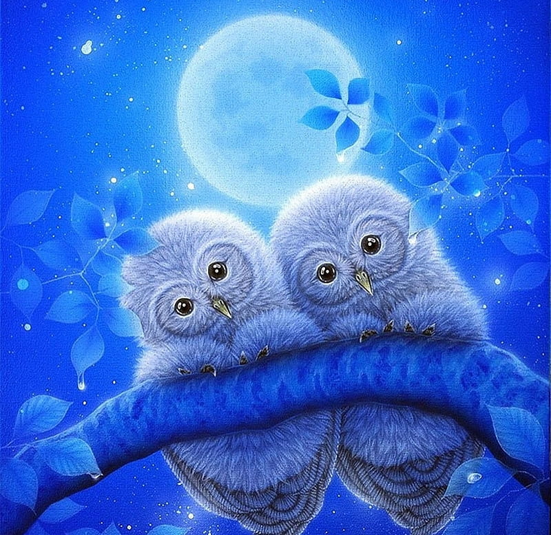 Cute baby owls, blue, couple, art, owl, luminos, kentaro nishino, moon, fantasy, bufnita, moon, bird, pasari, white, night, HD wallpaper