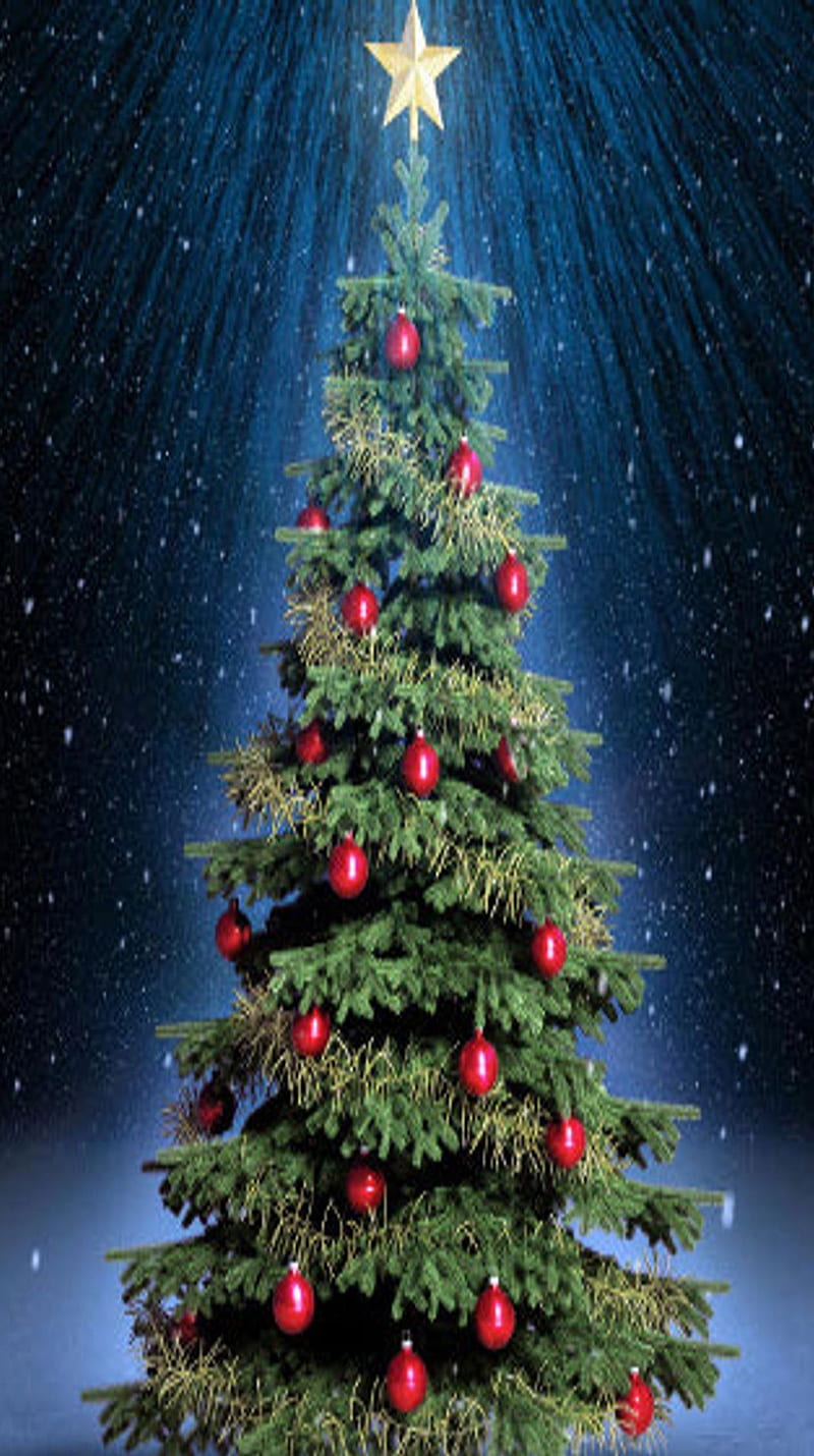 Christmas Tree 06, christmas tree, designs, HD phone wallpaper | Peakpx