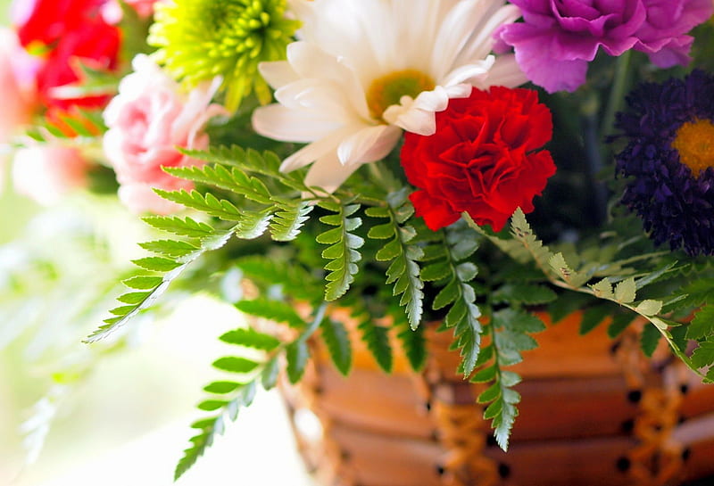 Flores en macetas, bonita, vistoso, gerberas, encantador, fresco, florero,  maceta, Fondo de pantalla HD | Peakpx