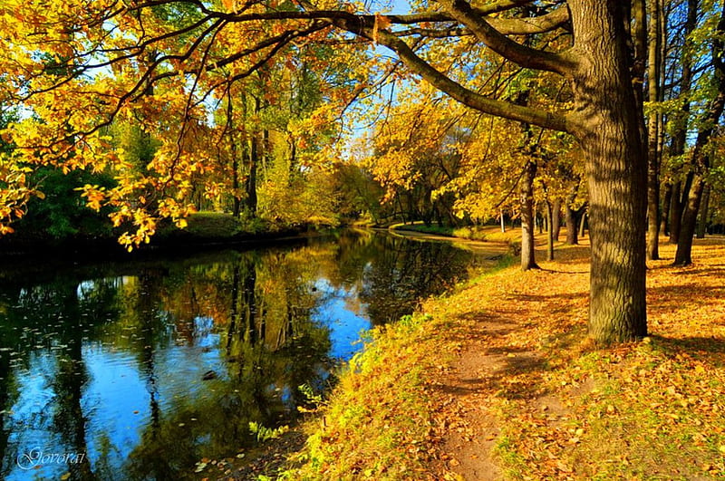 River in autumn park, stream, fall, autumn, yellow, bonito, foliage ...