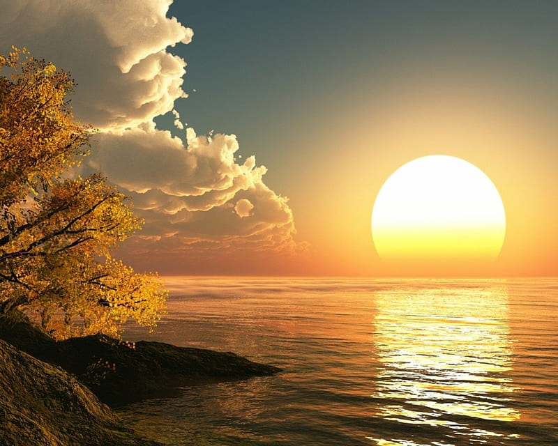 Beautiful Sunrise, tree, bonito, sunrise, sea, HD wallpaper