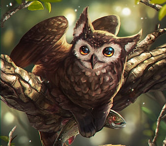 HD catowl wallpapers | Peakpx