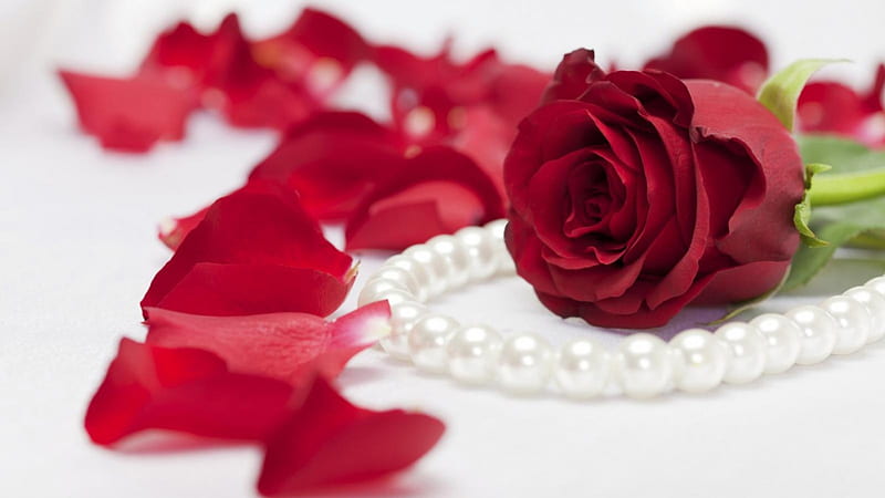 720P free download | I love you., Rose, Red, Beads, Flower, HD