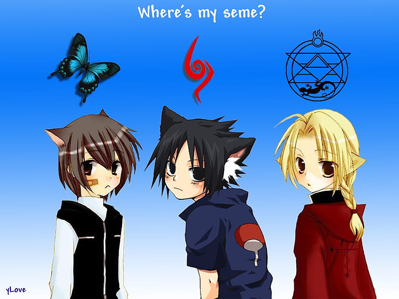 Sasuke With Eric Alphonse And, cute, characters, sasuke, full metal alchemist, cats, HD wallpaper