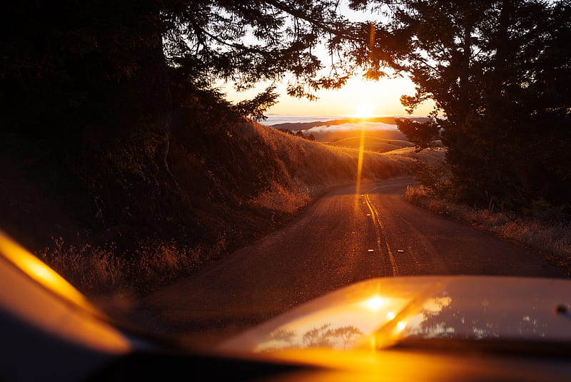car, road, sunset, sunlight, nature, HD wallpaper