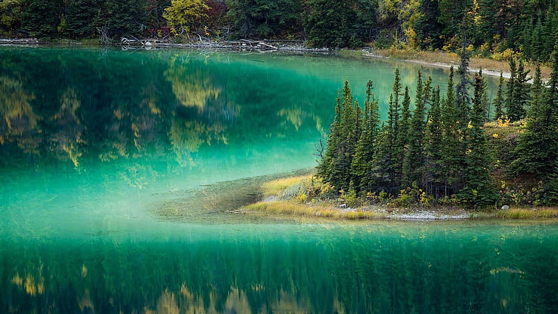 Lake Emerald, Forest, Trees, Canada, Yukon, Reflection, HD wallpaper