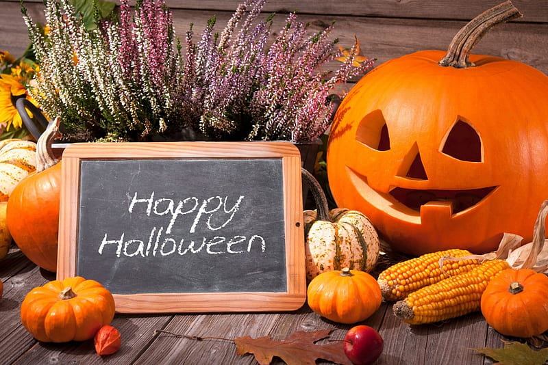 Happy Halloween, Fall, chalkboard, jack o lantern, still life, leaves, sunflowers, heather, flowers, Halloween, wood, corn, apple, sign, gourds, Autumn, pumpkins, HD wallpaper