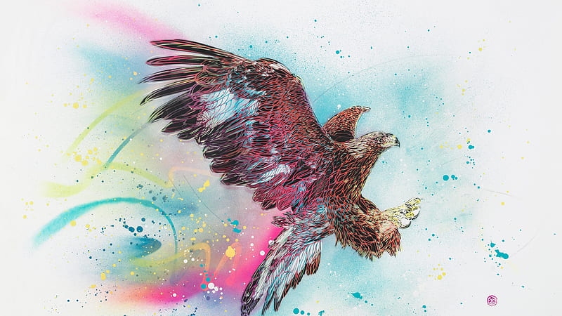 eagle art, creative, spray paint, HD wallpaper