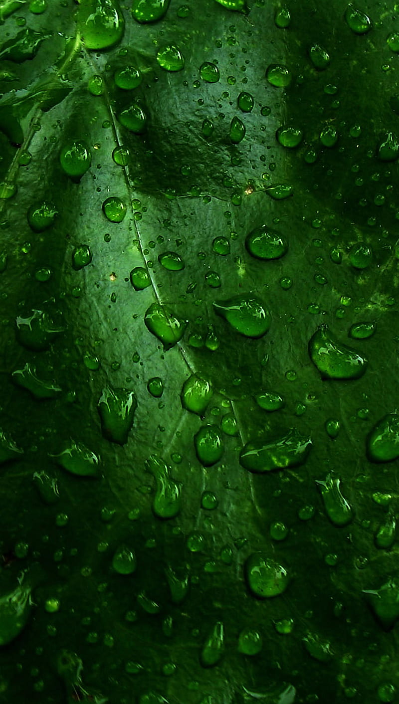 green waterdrops, drop, green, leave, natyre, water, HD phone wallpaper