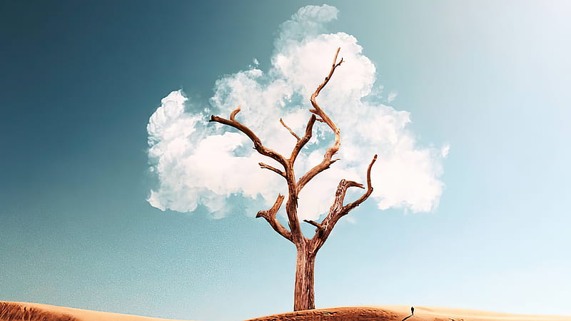 The Cloud Tree , tree, clouds, artist, artwork, digital-art, manipulation, HD wallpaper
