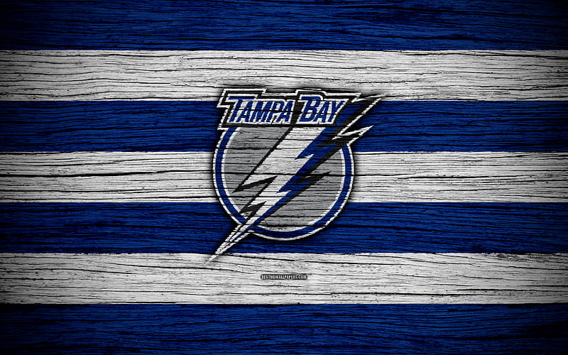 Tampa Bay Lightning NHL, hockey club, Eastern Conference, USA, logo, wooden texture, hockey, Atlantic Division, HD wallpaper