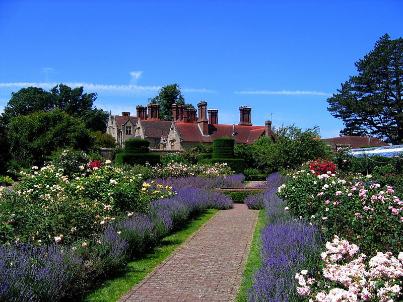 magic beauty, garden, pathway, lavander, Sussex, HD wallpaper