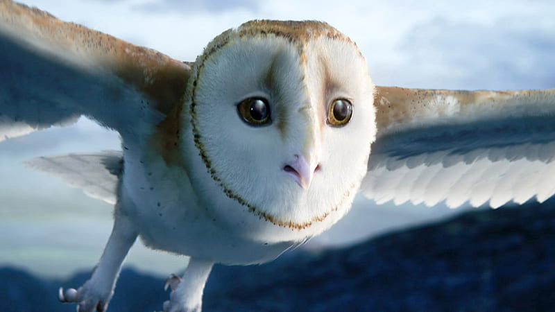 Legend of the Guardians-The Owls of GaHoole movie 08, HD wallpaper