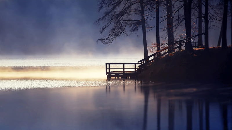 stairs to a ramp on a lake shore in morning fog, shore, stairs, morning, ramp, trees, lake, fog, HD wallpaper
