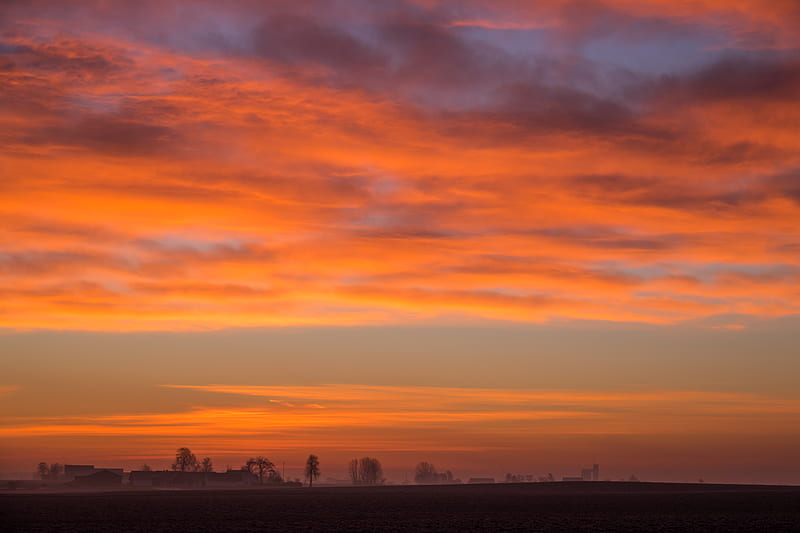 dawn, field, fog, landscape, clouds, HD wallpaper