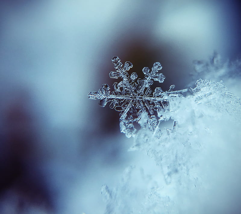 Snowflake, unsplash, remix, winter, snow, ice, HD wallpaper