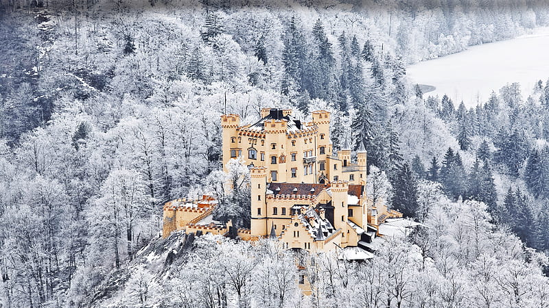 Castle Schwangau Fussen Bavaria 2021 Bing, HD wallpaper