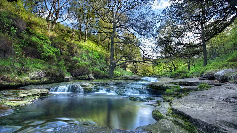 wonderful stream in the peak district np in england, stream, rocks, trees, grass, HD wallpaper