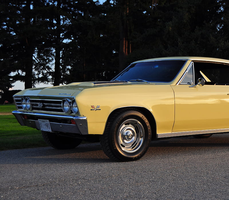 Muscle Cars 11, auto, cool, muscle car, HD wallpaper
