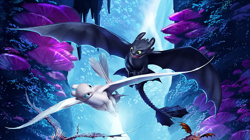 How To Train Your Dragon The Hidden World Night Fury And Light Fury, how-to-train-your-dragon-the-hidden-world, how-to-train-your-dragon-3, how-to-train-your-dragon, movies, 2019-movies, animated-movies, artwork, night-fury, HD wallpaper