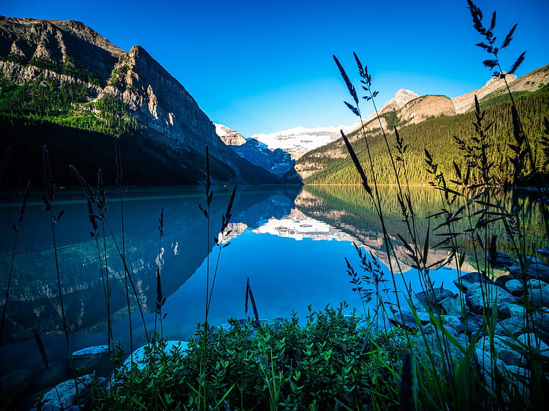 Lake Louise, Canada, water, alberta, reflections, mountains, HD wallpaper