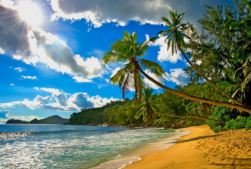 Seychelles, cloud, sun, holiday, ocean, palm, bonito, sky, sea, beach ...