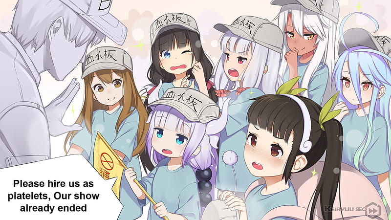 hataraku saibou, kobayashi-san chi no maid dragon, anime crossover, kanna kamui, Anime, HD wallpaper