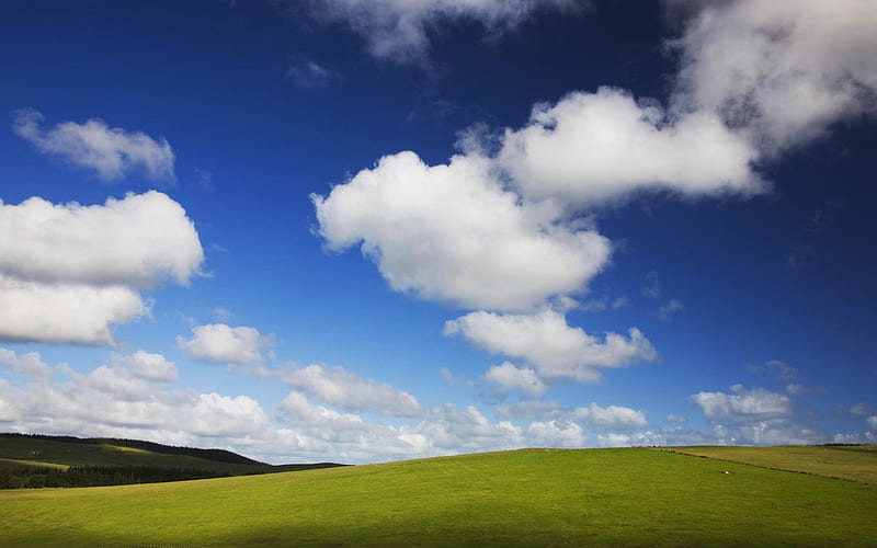 New Zealand s green pastures under the blue sky, HD wallpaper
