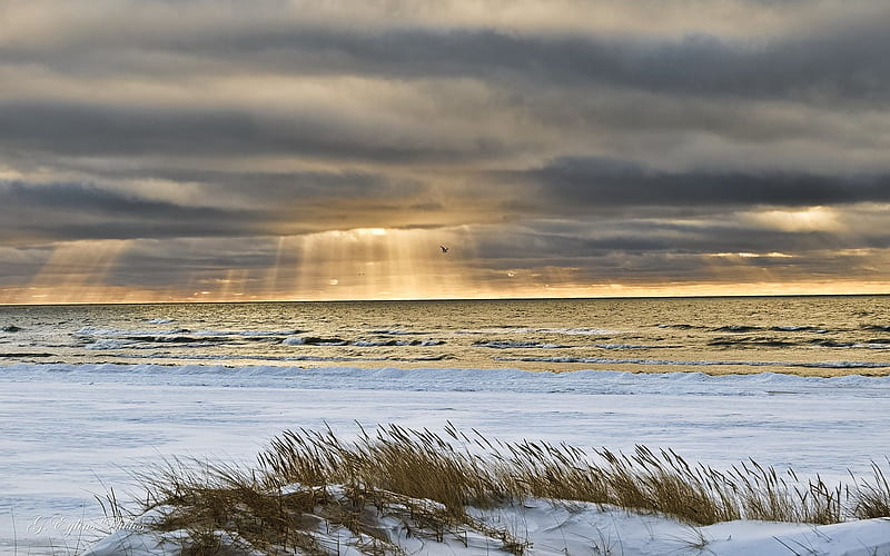 Winter Beach in Latvia, beach, snow, grass, Latvia, sunbeams, winter, sea, HD wallpaper
