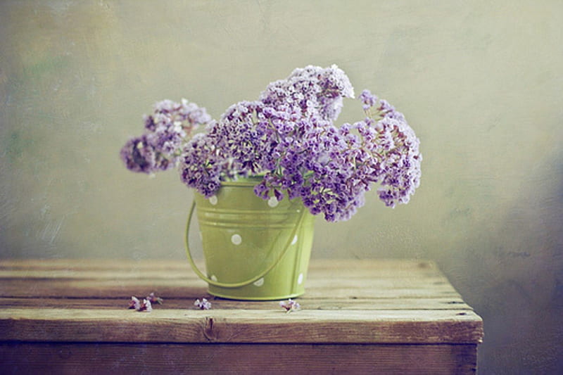 Still life, purple, splendor, green, liliac, flowers, vase, beauty, HD wallpaper