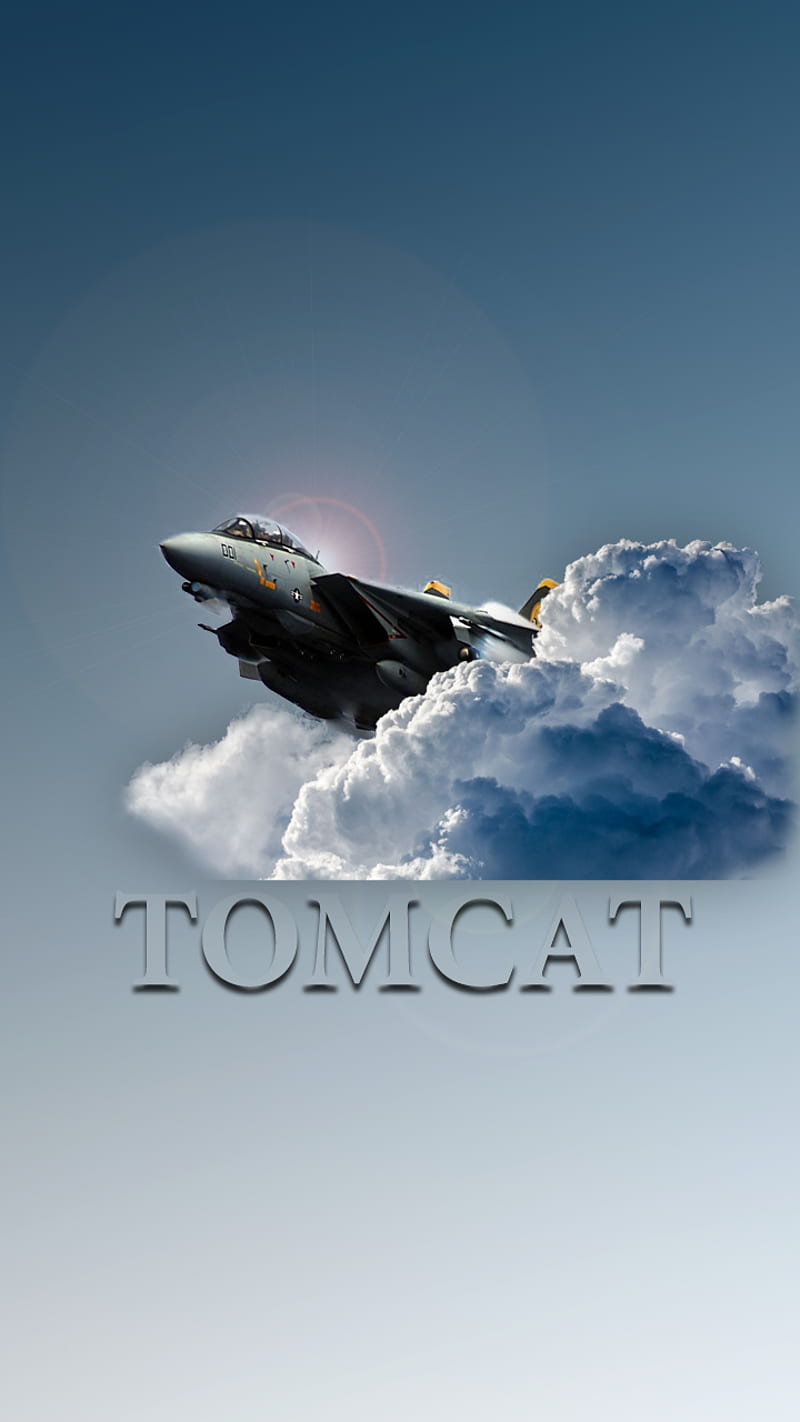 F-14 Tomcat, jet, navy, plane, HD phone wallpaper