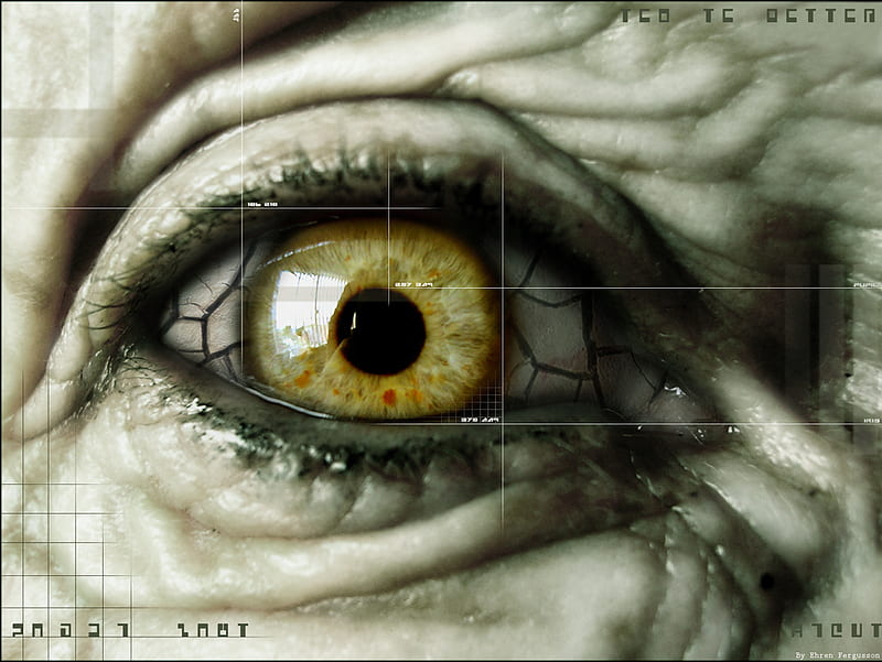 Decaying Age, wrinkles, decay, old, eye, HD wallpaper