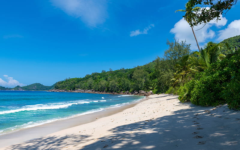 Takamaka, Seychelles, Mahe, tropical island, beach, palm, turquoise water, Indian Ocean, HD wallpaper