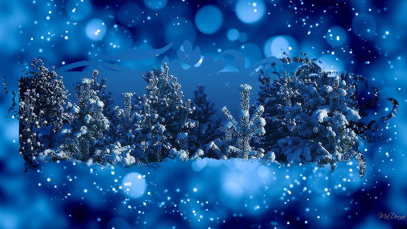 Framing Winter Forest, forest, woods, shine, collage, trees, winter, sparkle, bokeh, snow, blue, HD wallpaper
