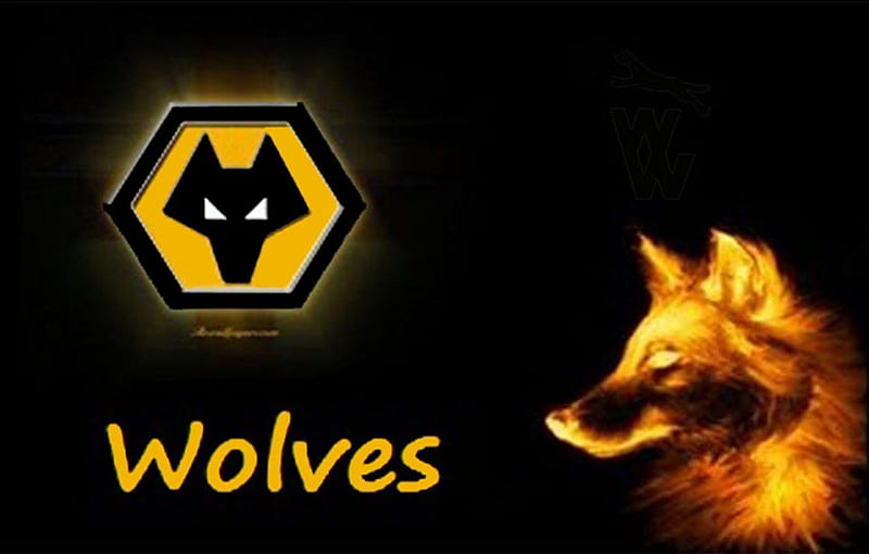 Gold Wolves Wolf, soccer, wolverhampton wanderers, england, fc, wolverhampton, screensaver, football, wwfc, wolf, wolves, wanderers, HD wallpaper