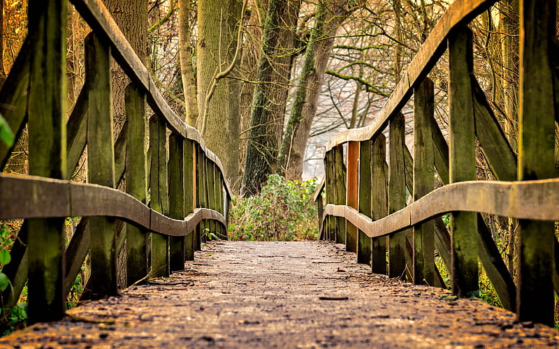 Footbridge, path, bridge, wood, HD wallpaper