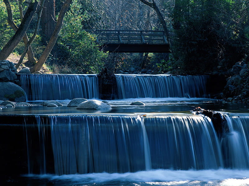 Waterfalls, fall, waterfall, nature, river, trees, HD wallpaper | Peakpx