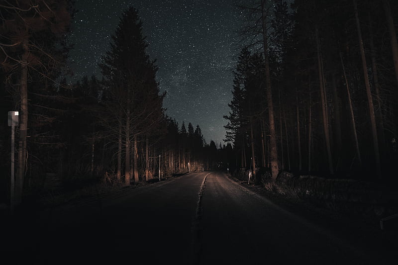 road, forest, night, starry sky, turn, HD wallpaper