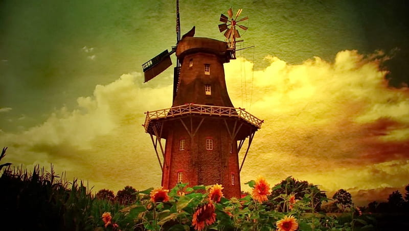 WindMill in sunflower field, windmill, sun, sunflowers, green, summer,  flowers, HD wallpaper | Peakpx