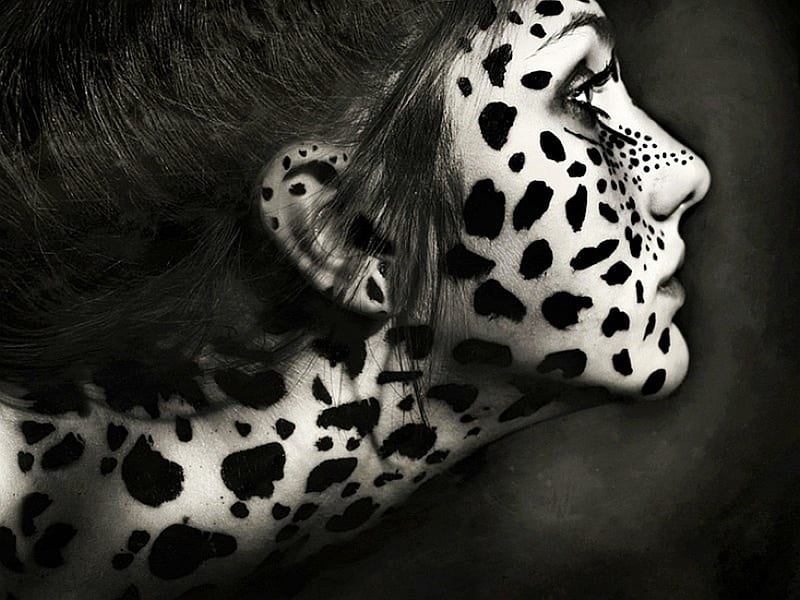 Cheetah, animal print, black, pattern, HD phone wallpaper