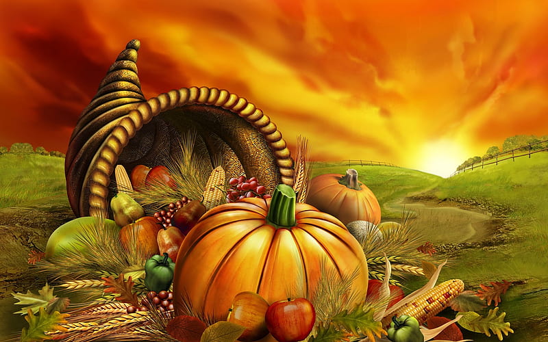 Harvest foods - Thanksgiving illustration design, HD wallpaper