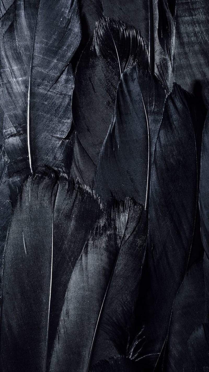 Feathers, black, feather, HD phone wallpaper | Peakpx