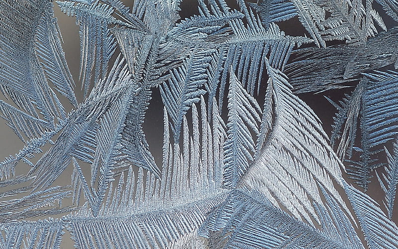 frost patterns gray frost backgrund, frost textures, frost on glass, ice patterns, gray backgrunds, frost patterns on glass, HD wallpaper