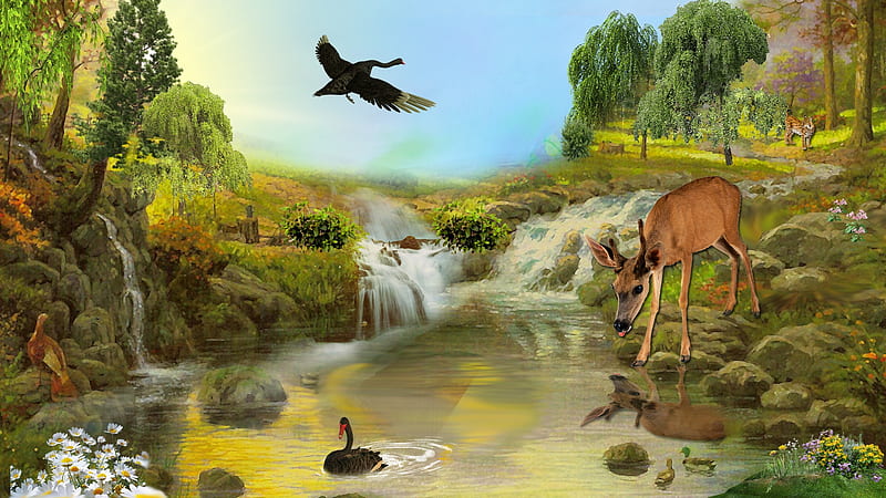 Wild Life, forest, fawn, ducks, pool, deer, wild cat, geese, Firefox Persona theme, falls, HD wallpaper