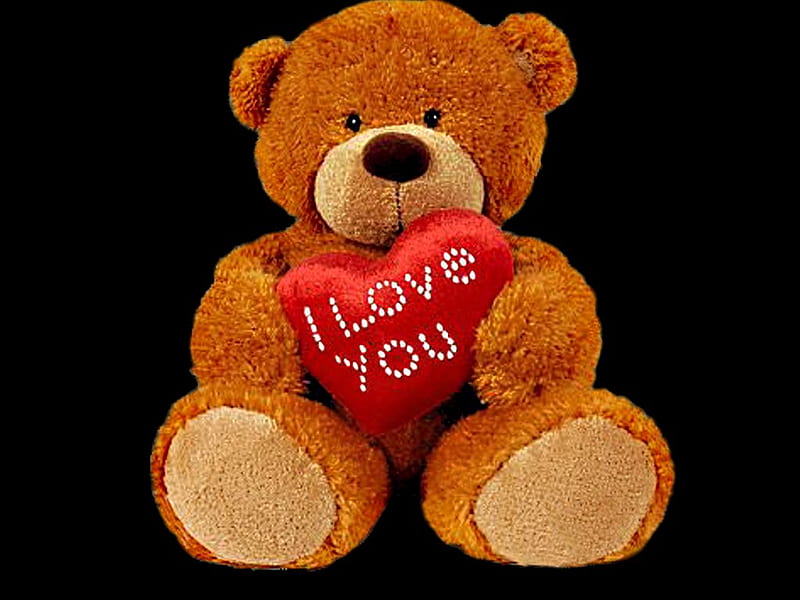 Love bear